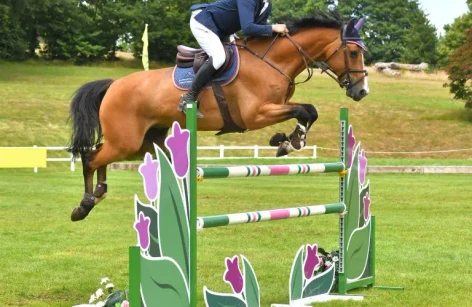 Bicton - Mid-Summer Festival