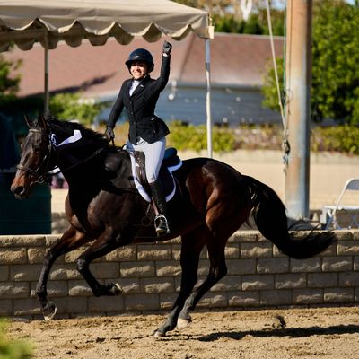 MNF CHARITY HORSE SHOW & CHRISTMAS MARKET