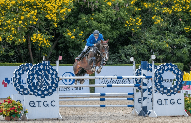 Dc Events 2025 Toyota 