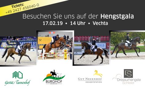 Hengstschau Gestüt Tannenhof, Gut Neuenhof, Burghof Brodhecker und Dressurhengste Schleier
