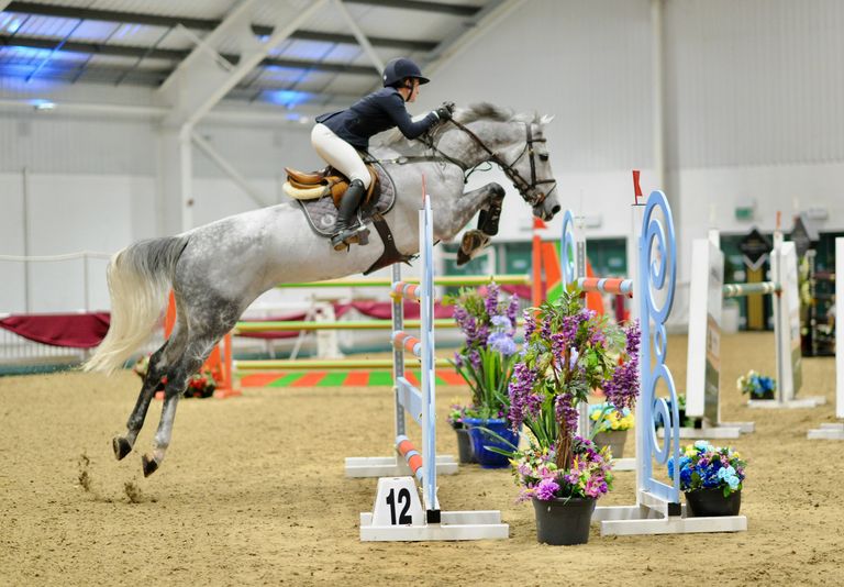 Live Stream Aintree British Showjumping Category 2 Show 2023