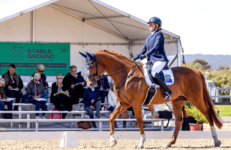 Willinga Park CPEDI3* Paralympic Qualifier