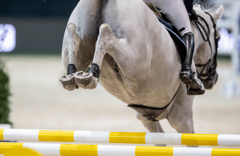 Al Forsan International Showjumping CSI4*
