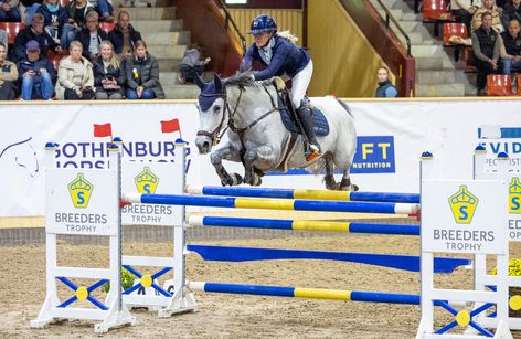 SWB Equestrian Weeks Showjumping