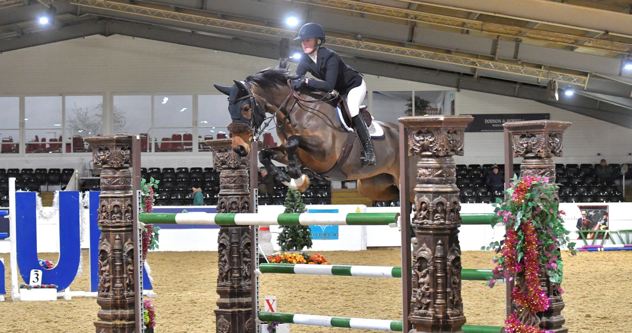 Senior Newcomers - First Round - Arena UK - Winter Classic I