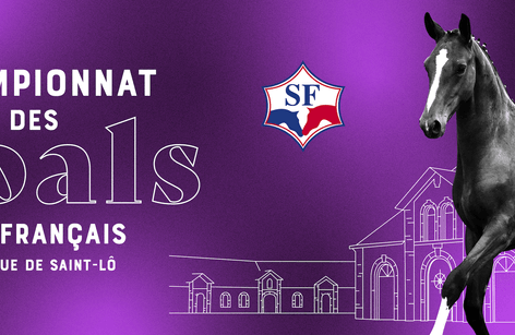 Championnat des foals Selle Français