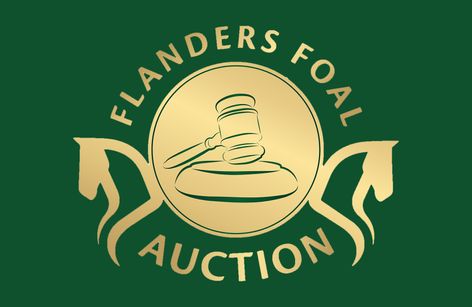 Flanders Foal Auction Sentower