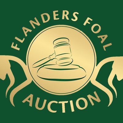 Flanders Foal Auction Sentower
