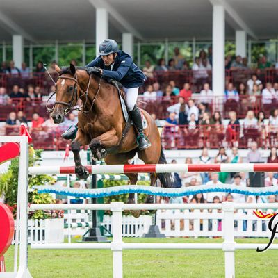 CSI4* / 2* / YH Las Mestas - Patronato Deportivo - Ayuntamiento de Gijón 2025