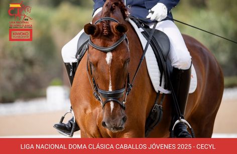 CDN3* CECyL - LIGA NACIONAL DE DOMA CLÁSICA CABALLOS JÓVENES 2025