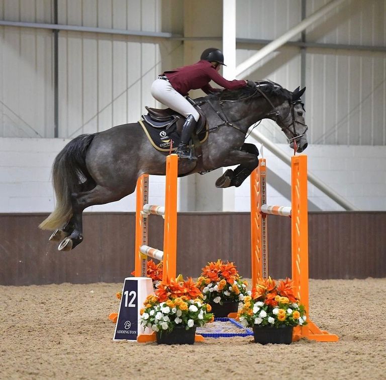 Live Stream Addington Equestrian 3 Day British Showjumping Show