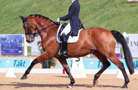 Mid-Atlantic Dressage Festival & Lexington CDI3*
