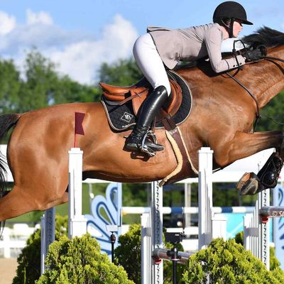 Split Rock Hunter Jumper Classic II CSI2*