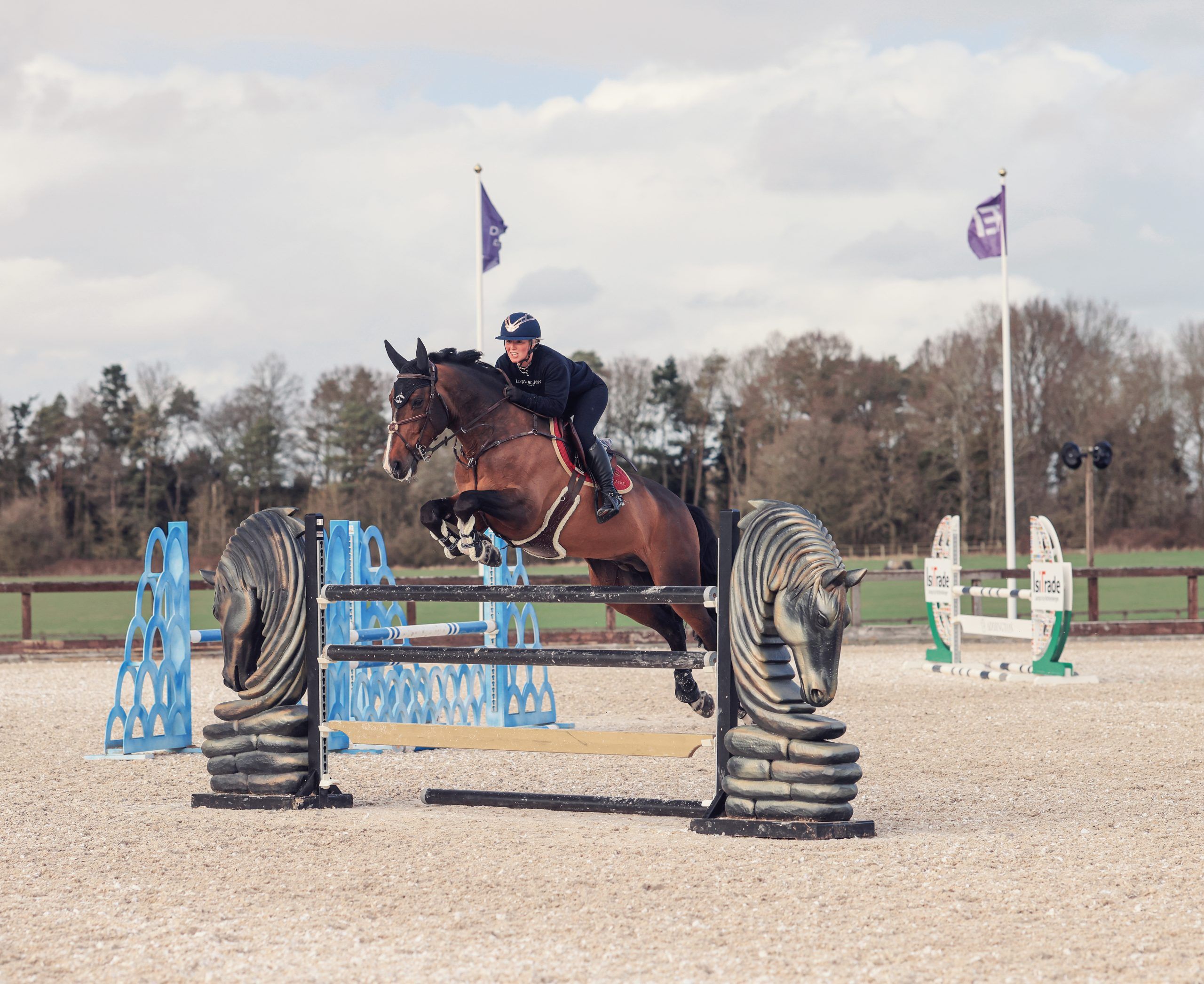 Live Stream - Addington Equestrian - 3 Day British Showjumping Show ...