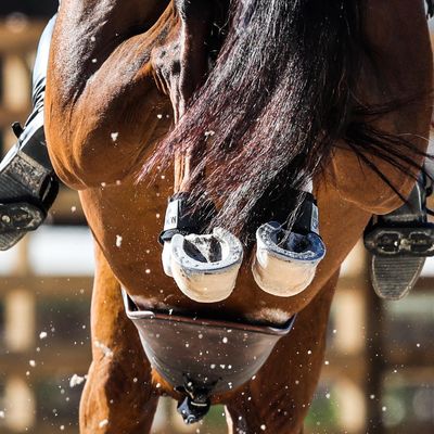 CSI1* Libya Heritage Festival