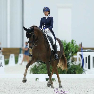 CDI3* World Equestrian Center – Ocala May Dressage