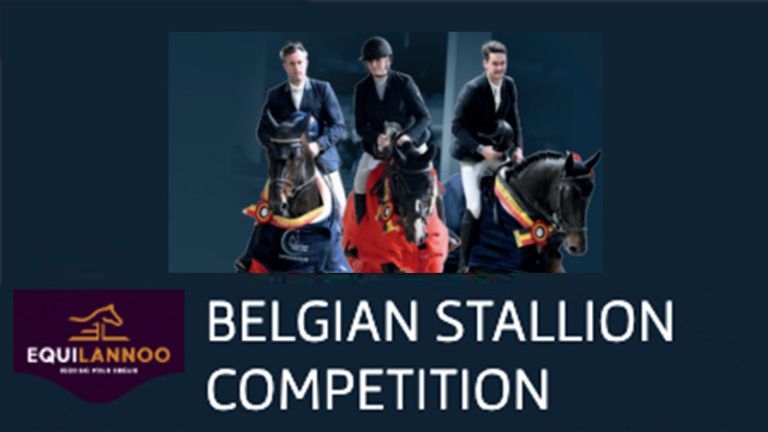 Stallion Streams Live Stream - Equilannoo Belgian Stallion Competition 3th Round - 2025 ...