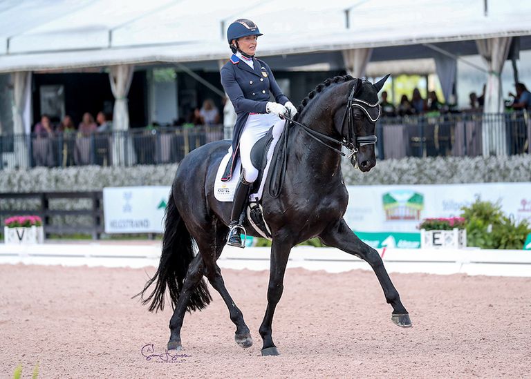 Live Stream Adequan Global Dressage Festival X 2024 Videos, Live