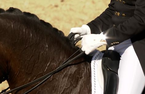 Kirstinelund Horsefestival dressur og 2. kval Bundgaard Byg
