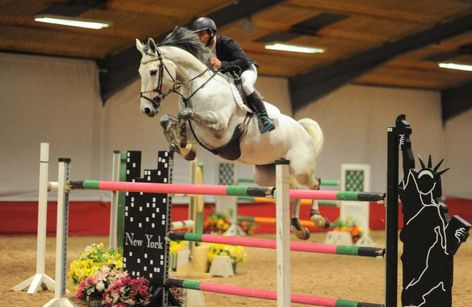 South View - Summer Pony Premier