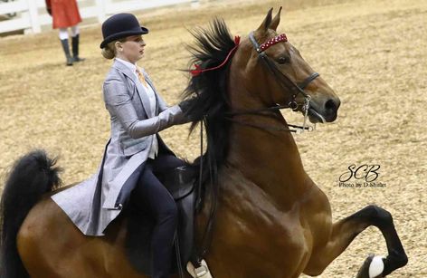 JD Massey Classic Horse Show