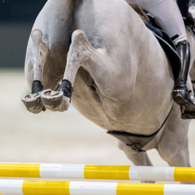 Finala Campionat I