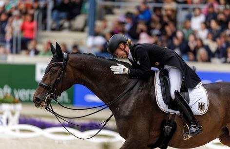 We Do It for Equestrians - We Do It For YOU