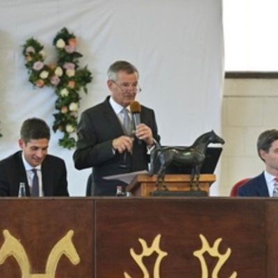 Klosterhof Medingen: 36. Herbstauktion - Elite im Herbst