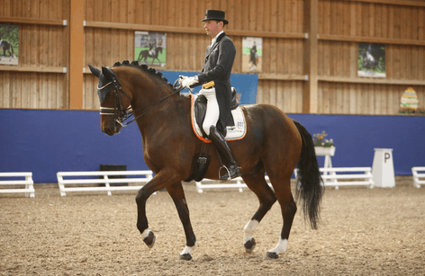 16. Dressurfestival Zeutern