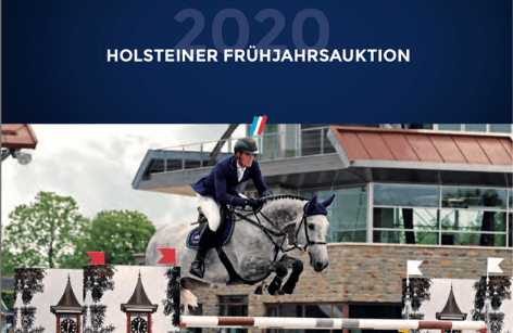 Präsentation zur Holsteiner Frühjahrsauktion