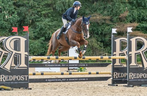 Bicton - Mid-Summer British Showjumping Show