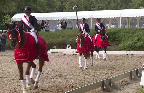 Agria DRF-mesterskab i dressur for klubhold
