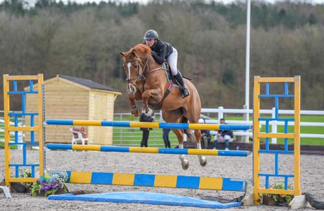Kelsall Hill - British Showjumping Second Round Junior Show