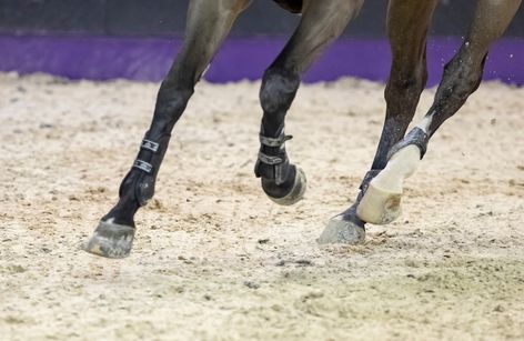 CHI Al Shaqab