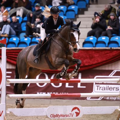 Christmas Show warm up HEST 2025