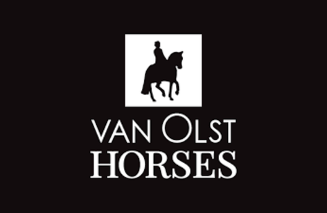 Van Olst Stallionshow 2025