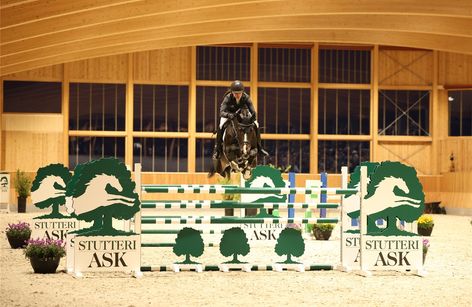 Stallionshow STUTTERI ASK OG BLUE HORS