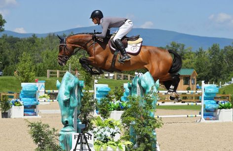 CSI3* HITS-on-the-Hudson V