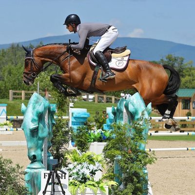 CSI3* HITS-on-the-Hudson V