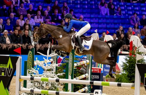 Amadeus Horse Indoors
