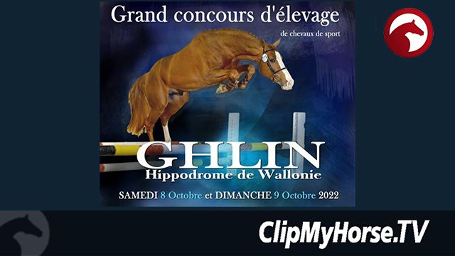 Championnat de Wallonie de saut en liberté des 2 ans - Grand