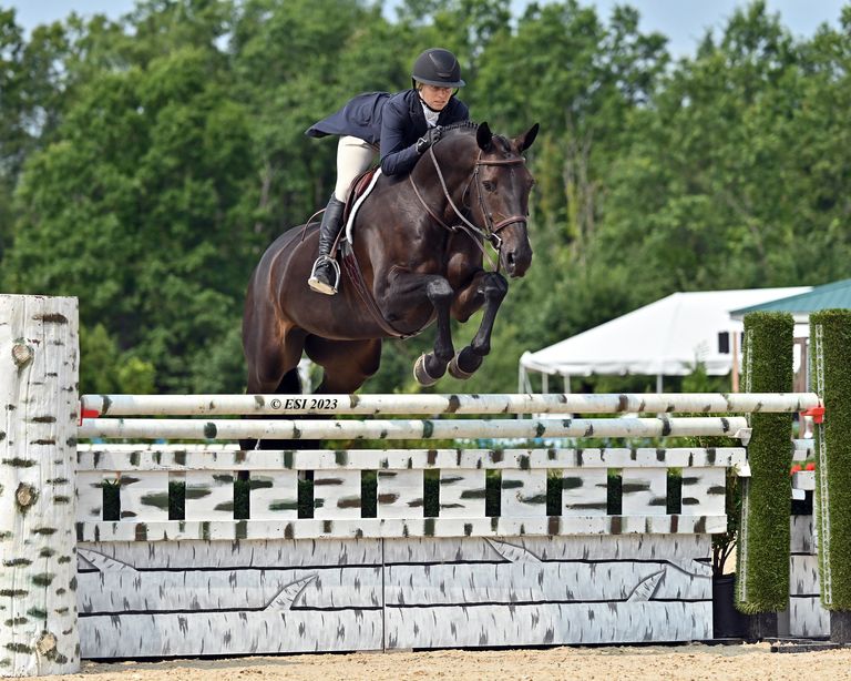 $200 6&7 Year Old Jumper (COMB) - HITS-on-the-Hudson III - 2025 ...