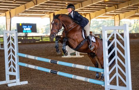 NCAA Equestrian UC Davis vs Georgia