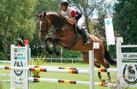 Großes Dressur- und Springturnier Öhringen