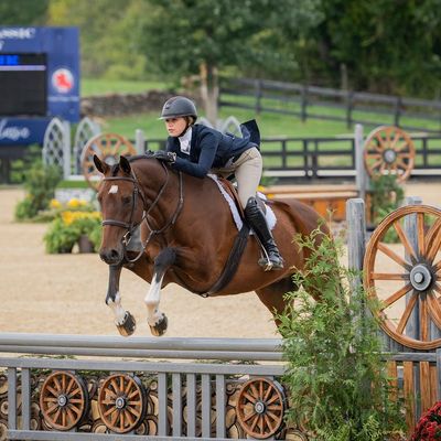 Middleburg Classic Horse Show