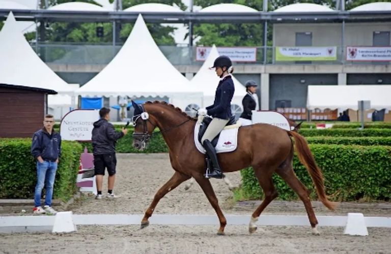 Preis von Madeleine Winter-Schulze CDI1*- Intermediaire I Finale - 3 ...