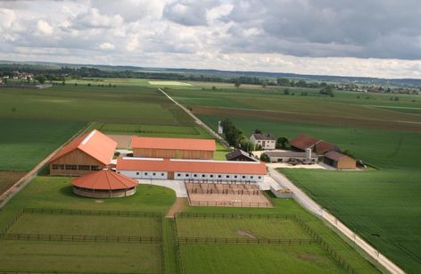 Dressurtage Ausbildungsstall Sessler