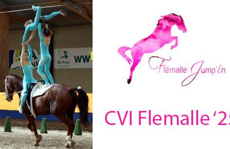 CVI 3* Flemalle
