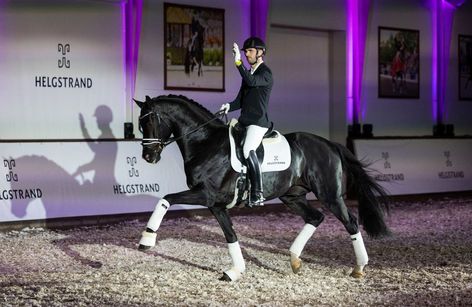 Helgstrand stallion show 2025