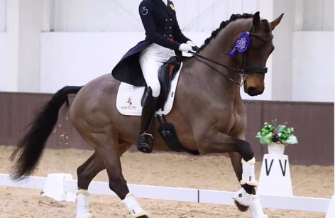 Addington International CPEDI/CDI3* Dressage 2025